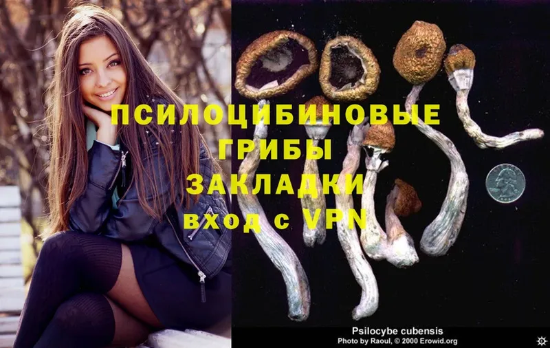 ОМГ ОМГ зеркало  Великие Луки  Псилоцибиновые грибы Psilocybine cubensis  как найти закладки 